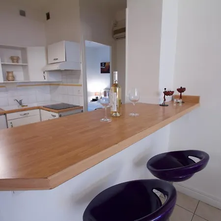 Charmant 3 Pièces Climatisé Proche Garibaldi Appartement